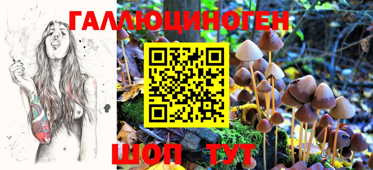 Галлюциногенные грибы Psilocybe Ишимбай
