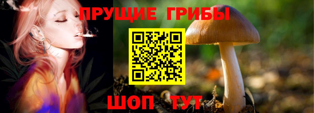 наркота  Псилоцибиновые грибы Cubensis  Ишимбай  Вход с VPN  Галлюциногенные грибы MAGIC MUSHROOMS 